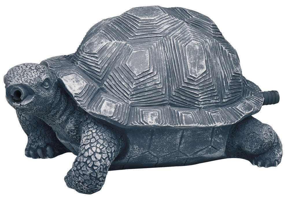 Wasserspeier Schildkröte Wasserspeier Schildkröte