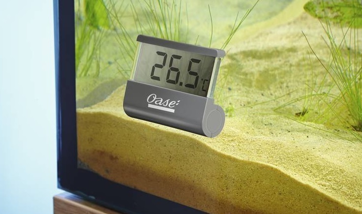 Digitales Thermometer