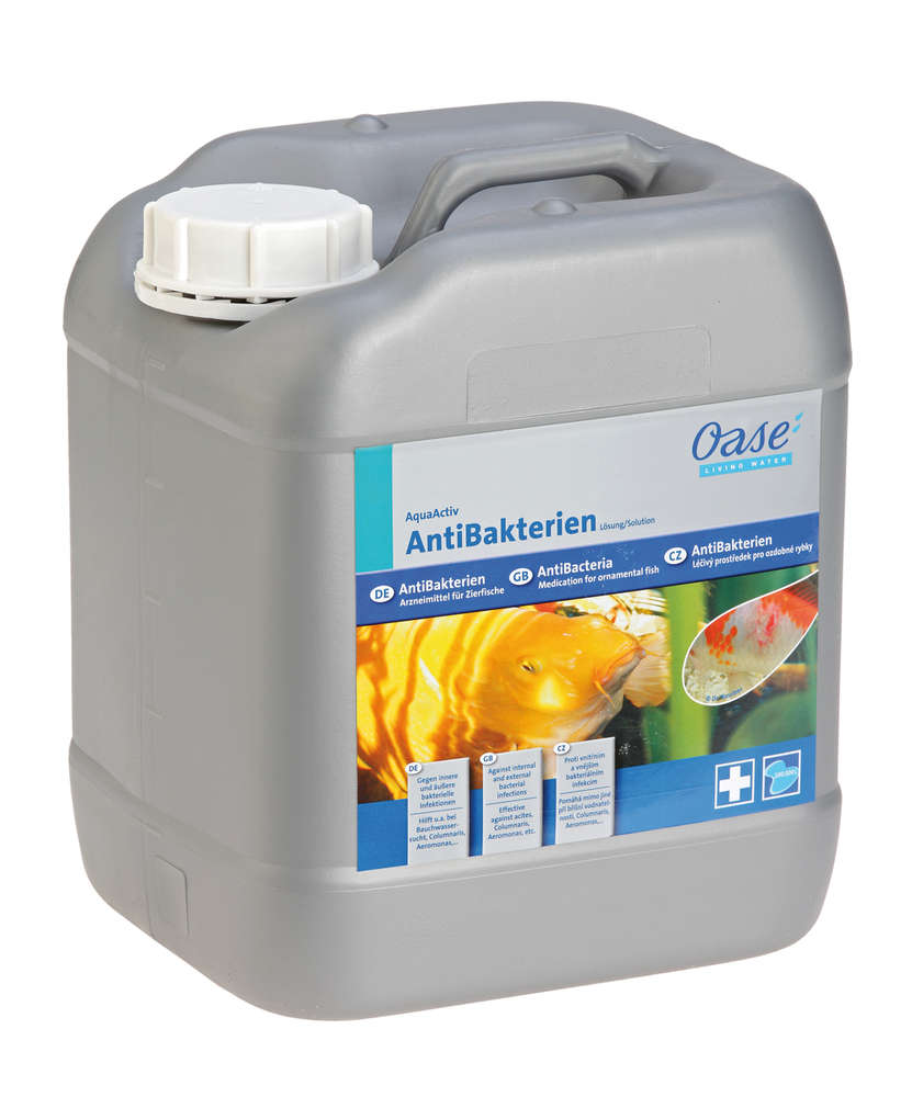 AquaActiv AntiBakterien 5 l