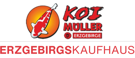 Zur Startseite gehen