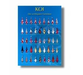 Koi Poster