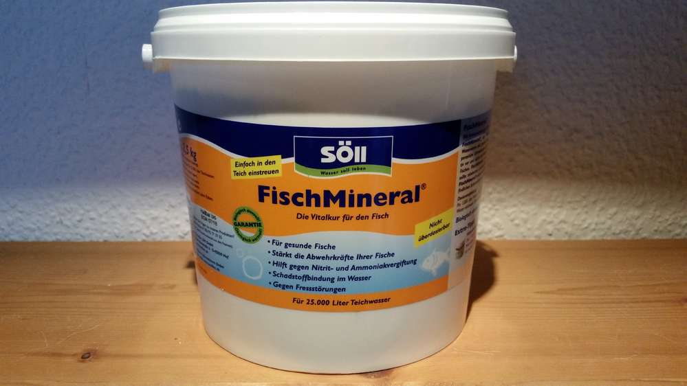 Söll FischMineral